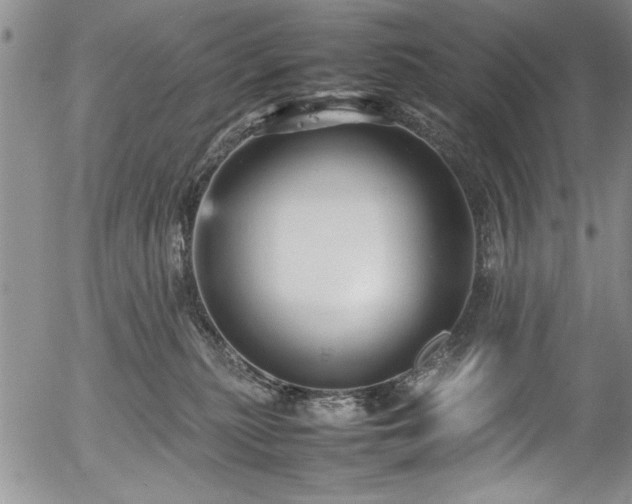 X0000054370279200508011228