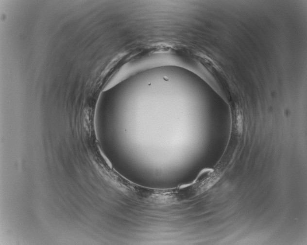 X0000054370280200508011228