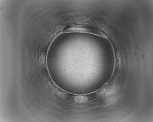 X0000054370281200508011228