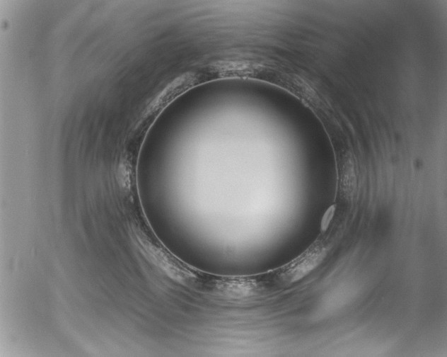 X0000054370282200508011228