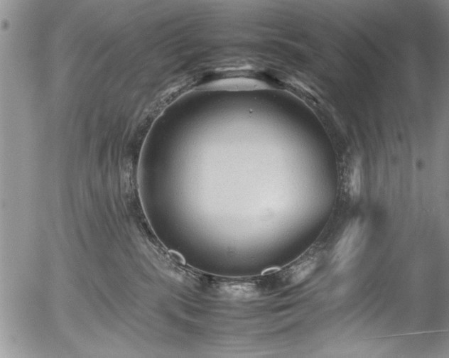 X0000054370283200508011228