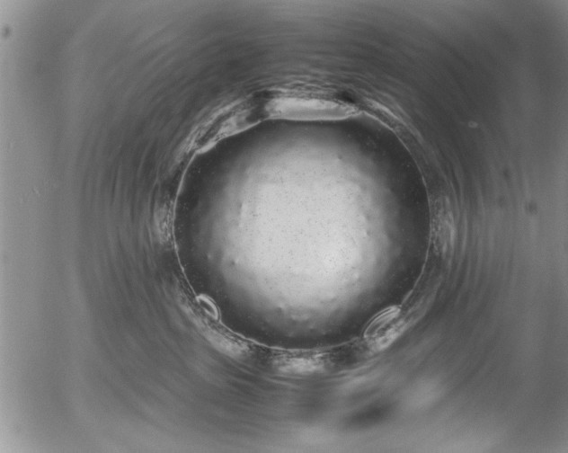 X0000054370285200508011228