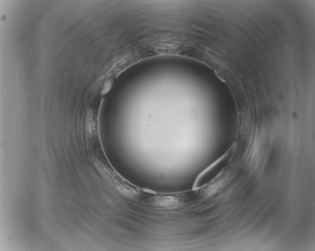 X0000054370287200508011228