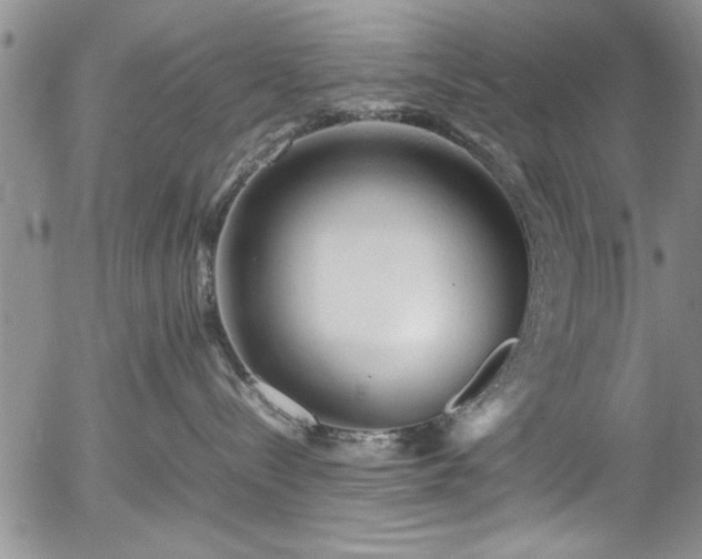 X0000054370288200508011228