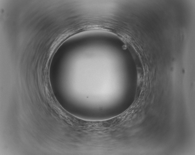 X0000054370289200508011228