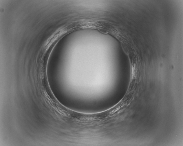 X0000054370291200508011228