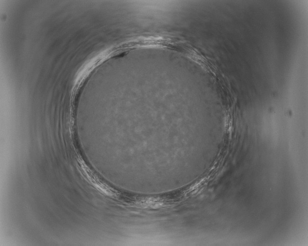 X0000054370293200508011228