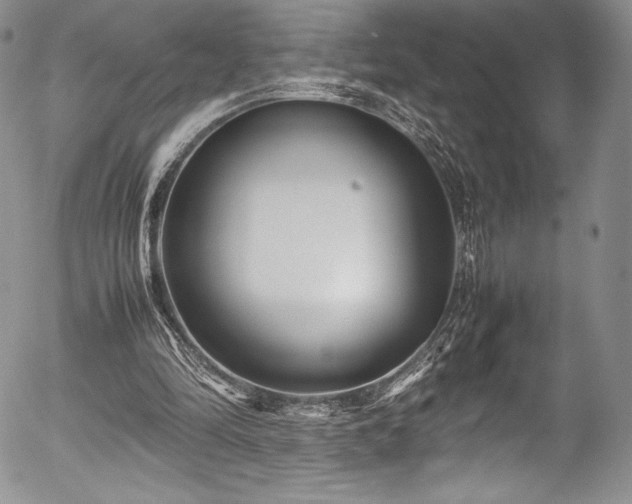 X0000054370294200508011228