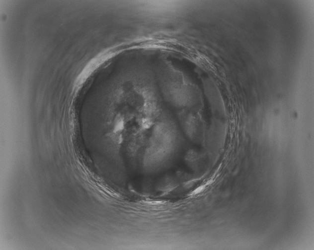 X0000054370295200508011228