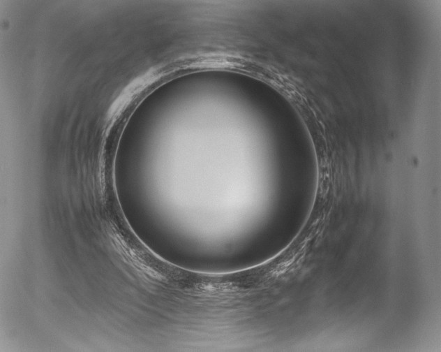 X0000054370296200508011228