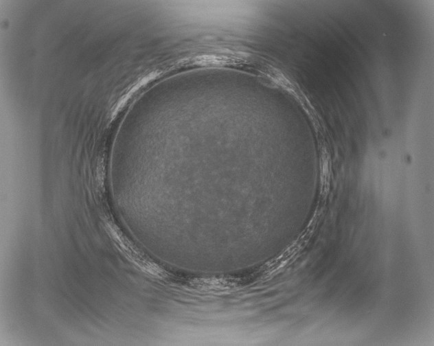 X0000054370297200508011228