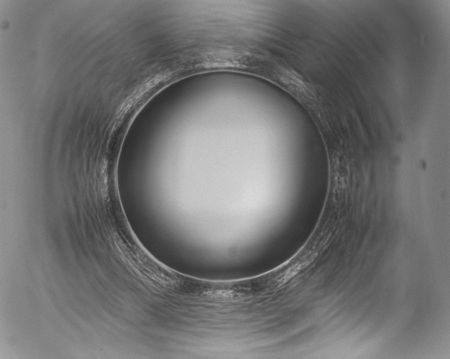 X0000054370298200508011228