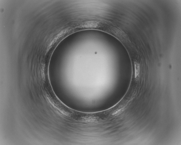 X0000054370300200508011227