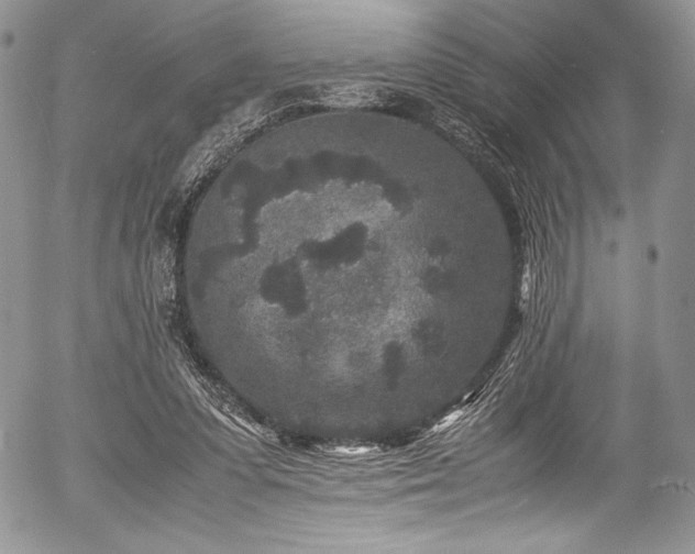 X0000054370303200508011227