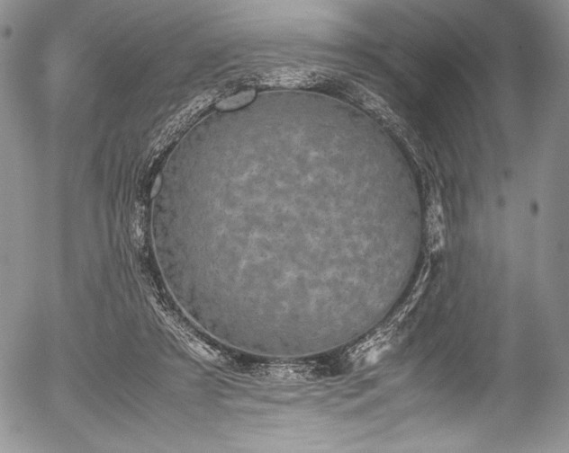 X0000054370305200508011227