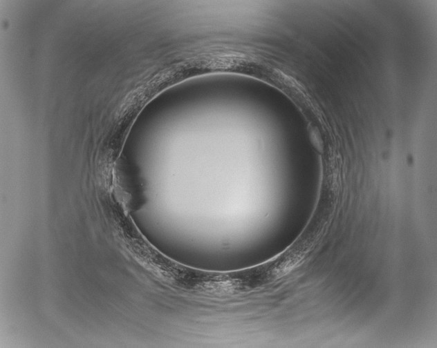 X0000054370307200508011227