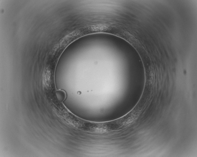 X0000054370308200508011227