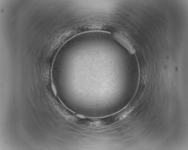 X0000054370309200508011227