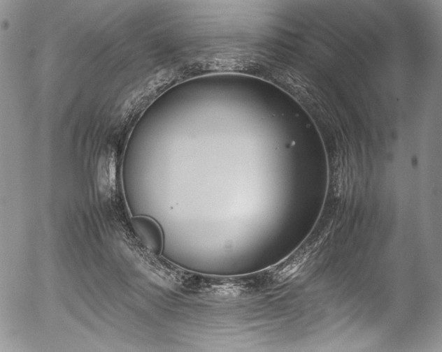 X0000054370310200508011227