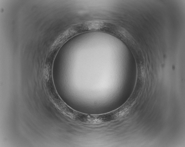 X0000054370311200508011227