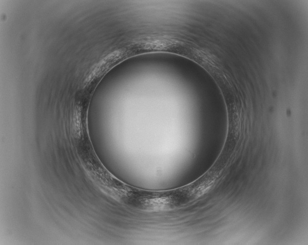 X0000054370312200508011227