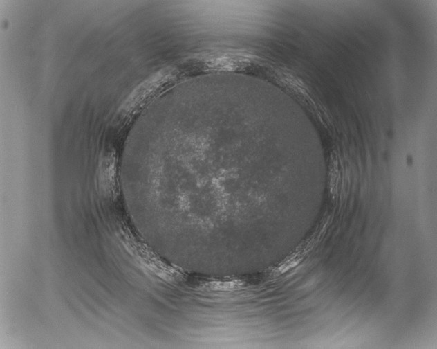 X0000054370314200508011227