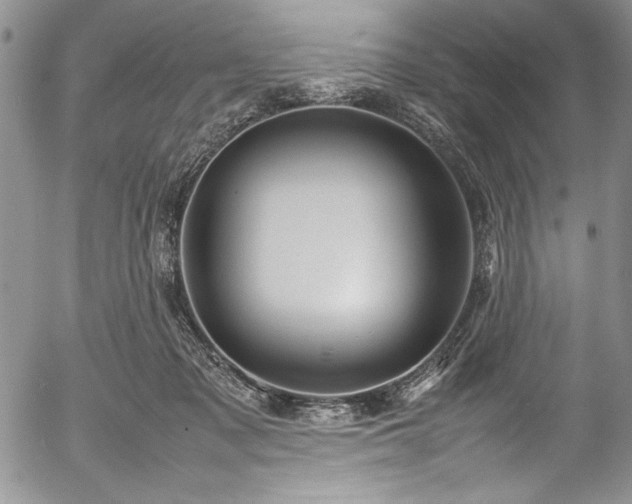 X0000054370317200508011227