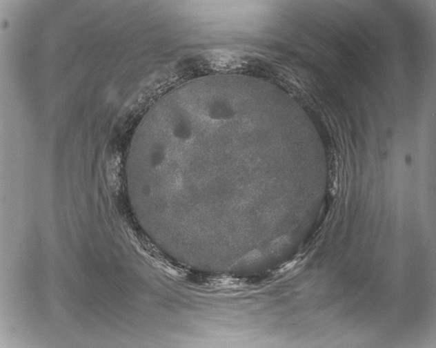 X0000054370319200508011227