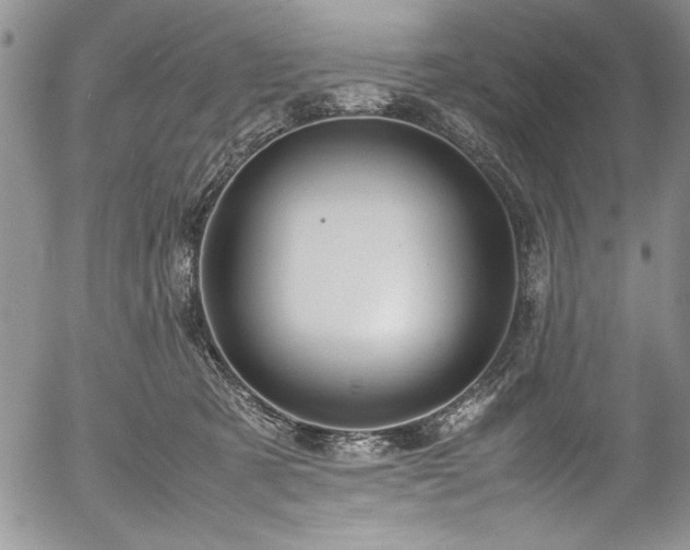 X0000054370321200508011227