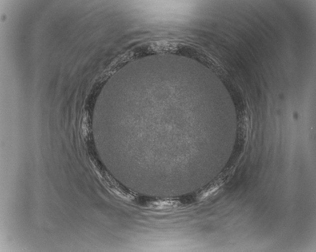 X0000054370323200508011227