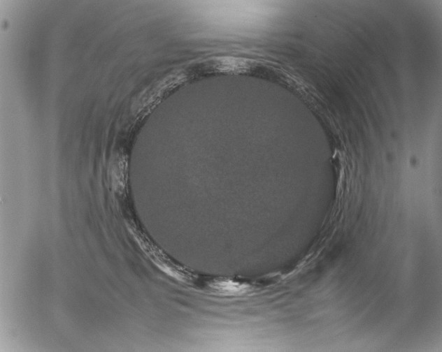 X0000054370325200508011227