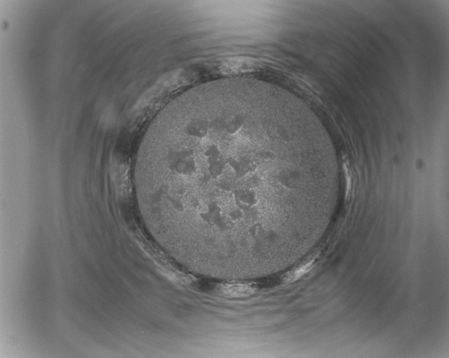 X0000054370327200508011227