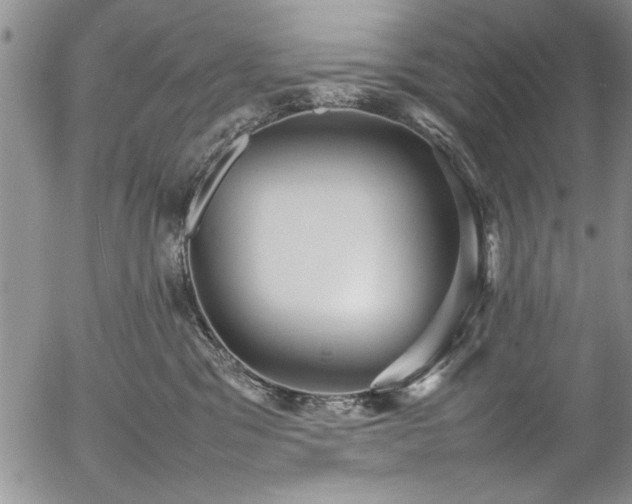 X0000054370329200508011227