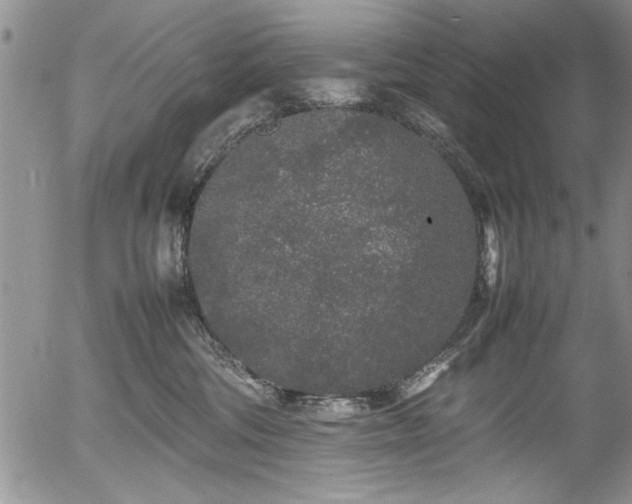 X0000054370330200508011227