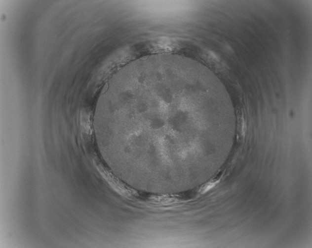 X0000054370331200508011227