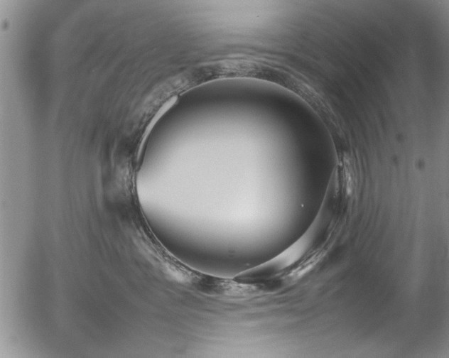 X0000054370333200508011227