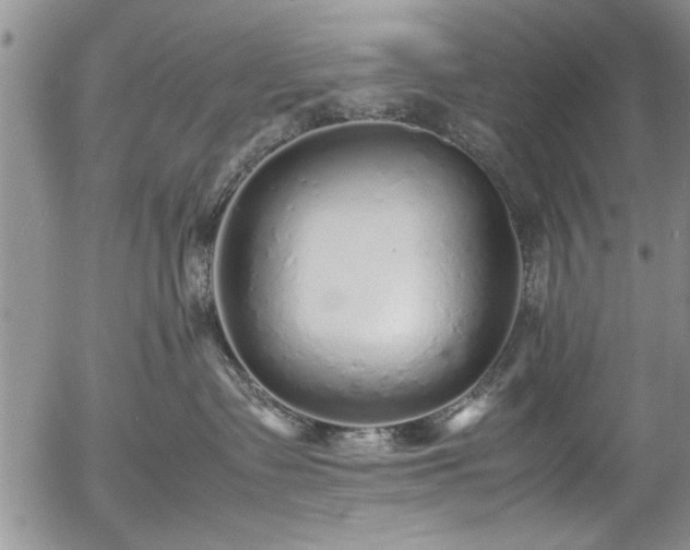 X0000054370335200508011227