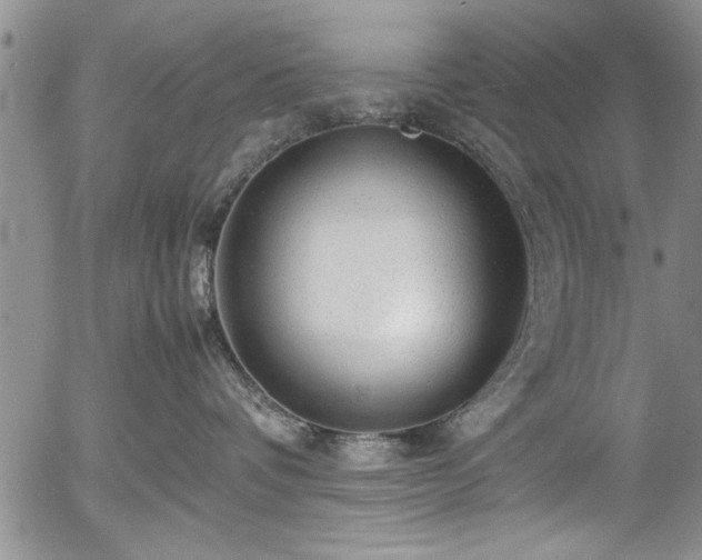 X0000054370336200508011227