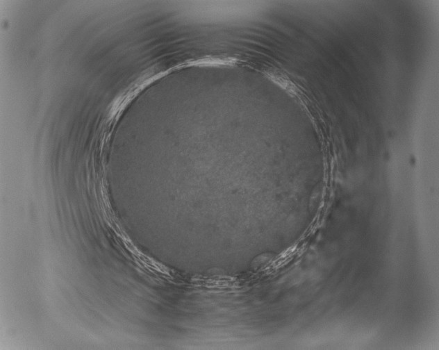 X0000054370337200508011226