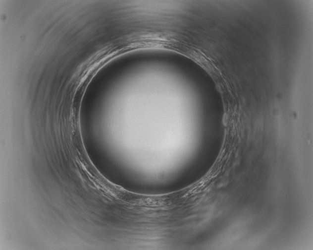 X0000054370338200508011226