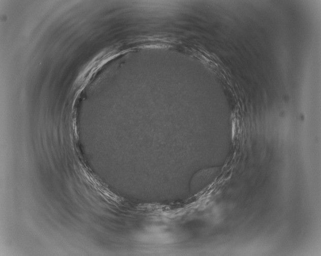 X0000054370339200508011226