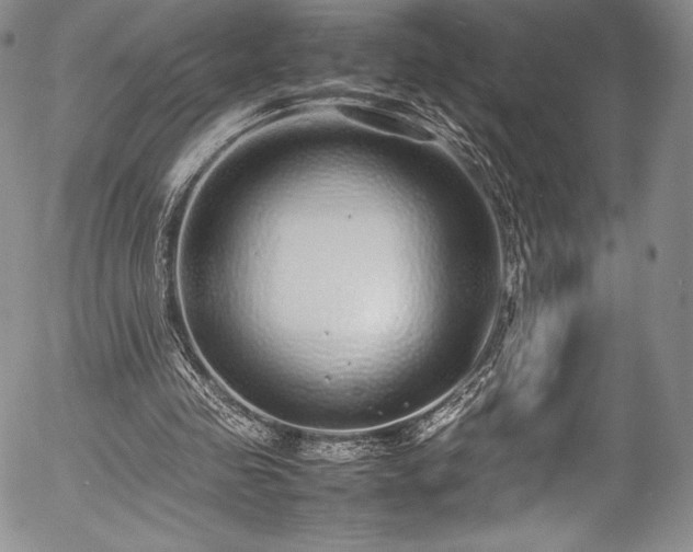 X0000054370341200508011226