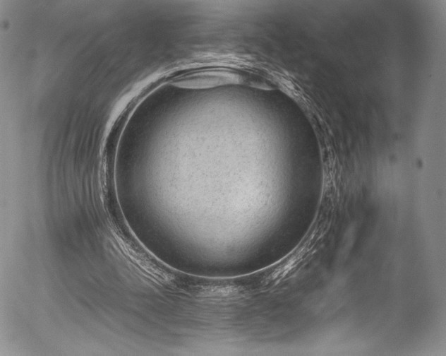 X0000054370342200508011226