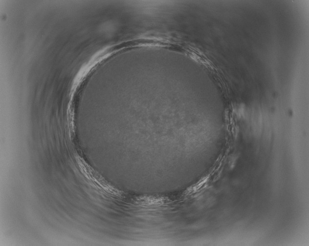 X0000054370343200508011226