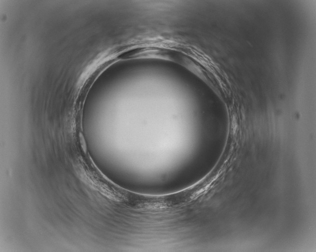 X0000054370344200508011226