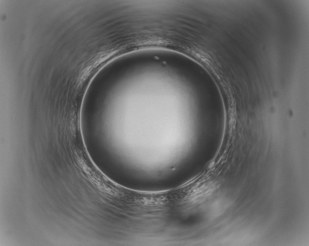 X0000054370345200508011226