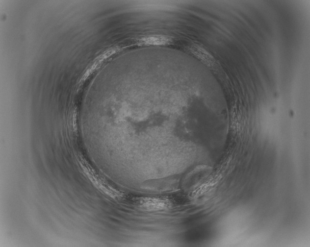 X0000054370347200508011226