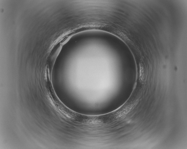 X0000054370348200508011226