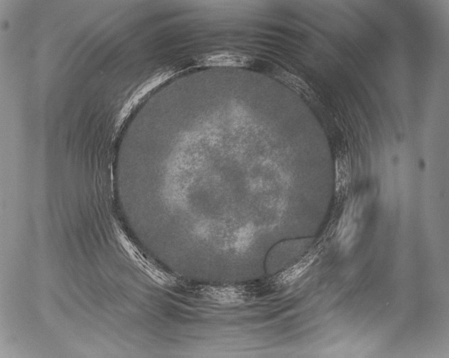 X0000054370349200508011226