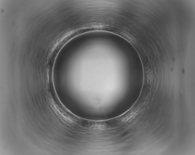 X0000054370350200508011226